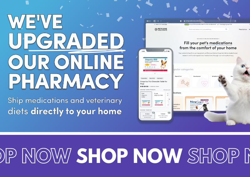 Carousel Slide 2: Shop our online pharmacy and store!`