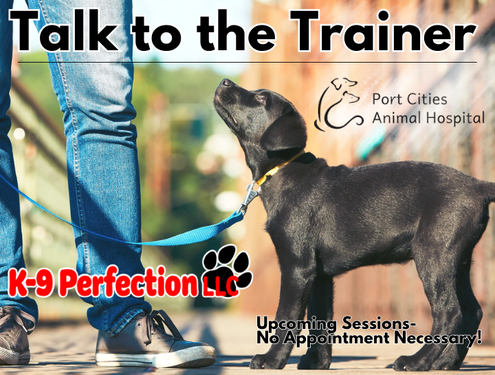 Talk to the Trainer