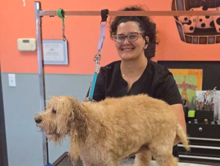 Pet Groomers